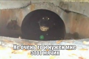 Фотоподборка за 07.03.2017