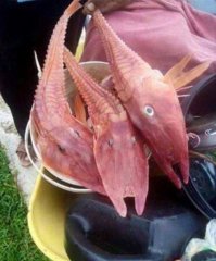 У нас хоть есть ноги, а у тебя руки из жопы растут!