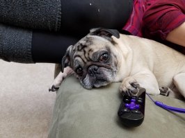 Отдыхаю, наслаждаюсь