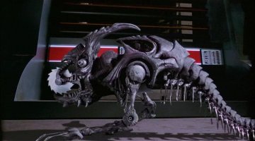 Странное существо было найдено у берегов Австралии