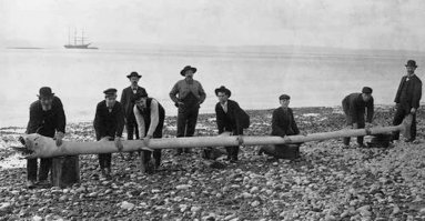 Кадборозавр вырезанный из бревна))