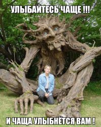 Приколы и прикольные картинки