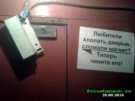 Соседей не выбирают