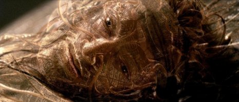 10. "Поиск видения"	

Древняя инициация коренных американцев. Для прохождения испытуемый отправляется в дикую природу, чтобы там, наедине с собой и природой, обрести силу духа и найти свой путь.

Источник:    Fishki.net
А в чём тут жестокость? Сразу фильм "Блуберри" вспомнился