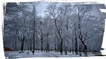Шёл сегодня утром на работу,сфоткал восьмое марта,у нас в Риге.Красота.С праздником,товарищи женщины!!!С 8 марта!!!