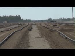 Подумаешь. У нас их сразу такими делают!