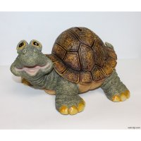 Хирурги достали из желудка черепахи несколько килограммов монет