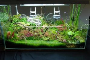 Тогда уж сразу так.