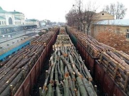 В Нью-Йорке восьмое марта на Таймс-сквер отметили по российским традициям