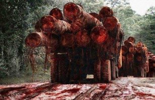 В Нью-Йорке восьмое марта на Таймс-сквер отметили по российским традициям