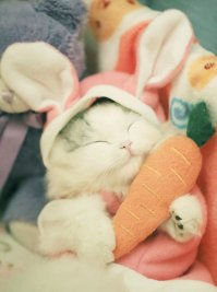 Пост милоты и красоты в честь праздничка