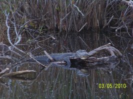 В тех же местах, снимал в 2010 году.