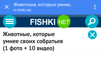 Одна фотка и десять видео. Можно еще одну фотку добавлю?