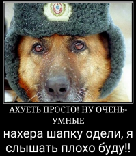 Одна фотка и десять видео. Можно еще одну фотку добавлю?