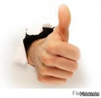 Судья показал желтую карточку мальчику, подающему мячи