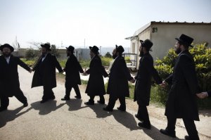 Индюки пытаются воскресить кота