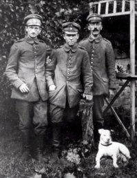 В этих окопах много ещё чего водилось , вместе со вшами ...