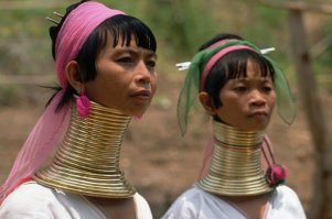 Так вот оно что.... эти люди тоже в жаре живут. На кулер от процессора похоже.