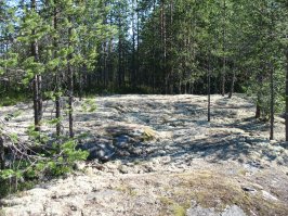 Мурманская область. Ягельный бор