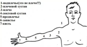 Извини конечно, но писать руки из плеч, все равно что из жопы...