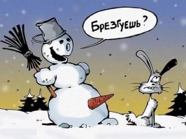 Приколы и прикольные картинки