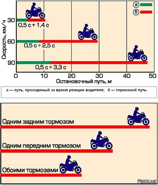 Нет тормозного пути при дтп