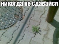 Прикольные фото и картинки!