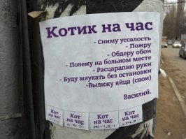 УССалость=) блин