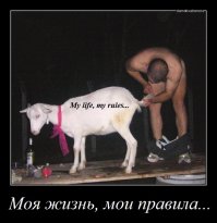 Моя жизнь — мои правила
