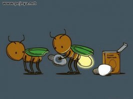 Светлячки - живые фонарики