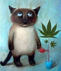 Южнокорейский татуировщик рисует милых животных на теле их владельцев