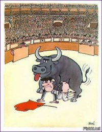 Морской котик топчет вожака пингвинов