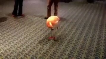 стоя в очереди в туалет из последних сил