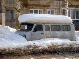 На прическу трампа смахивает