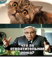 Фотоподборка за 10.03.2017