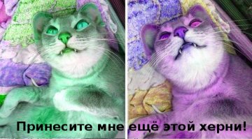 Смешные комментарии и высказывания из социальных сетей