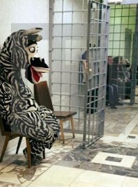 Марти, ты ли это?