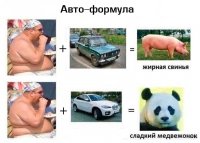 не совсем согласен, при наличии определенного кэша милым может быть и боров)