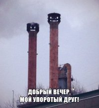 Дом с глазами и непростым характером: 20 оживших зданий