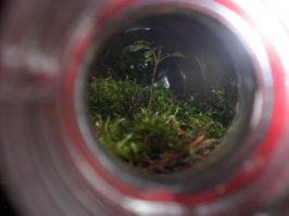 Случайно обнаруженные маленькие миры