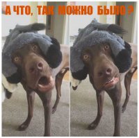 А если не видно разницы, зачем платить больше?