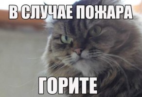 Я исхожу нет от закона, а от здравого смысла и техники безопасности, которая писана кровью. Так что...