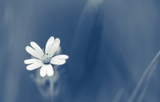 люблю минимализм, без всяких там котиков, машинок....