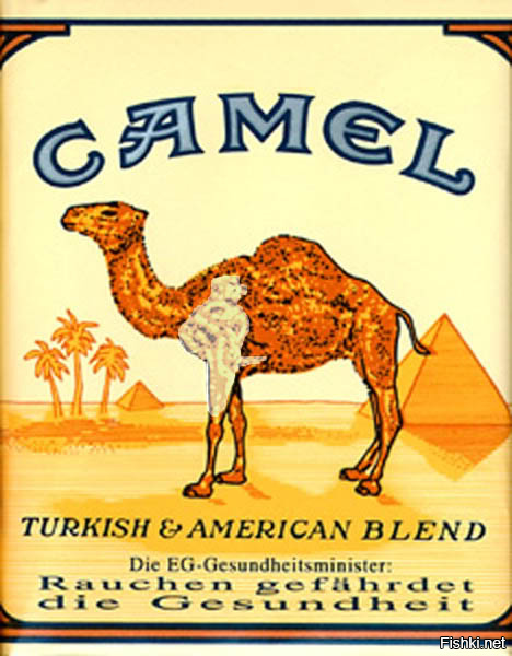 Картинка сигареты camel