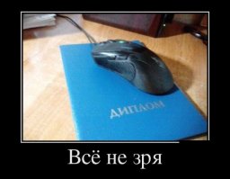 Ааххах, а это мой диплом, и точно же такая мышь, Х7:)