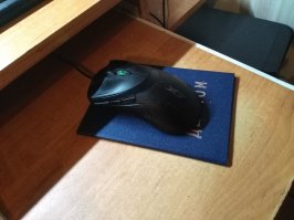 Ааххах, а это мой диплом, и точно же такая мышь, Х7:)