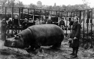 Ой, Гейропа что бы её. История об рождестве, во время которого парижане съели зоопарк: 

И фото из блокадного Лениграда. Кажется 1943 год. А вот слона убили ваши немцы. Авиабомбой. А так большая часть зоопарка была спасена. Как и коллекция семян.
