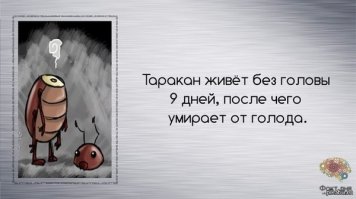 10 фактов, которые по-настоящему занимательны