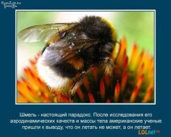 10 фактов, которые по-настоящему занимательны