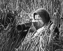 Сами знаете кто.